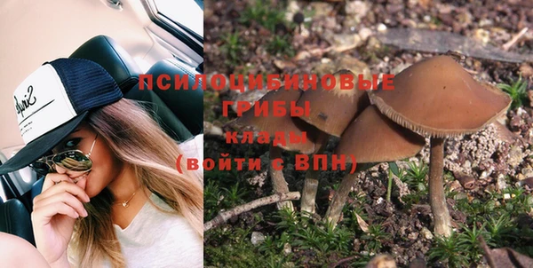 МДПВ Алексин