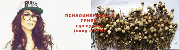 шишки Алексеевка