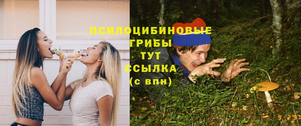 шишки Алексеевка