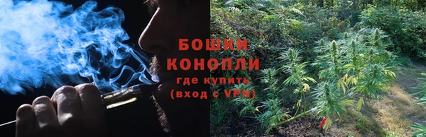шишки Алексеевка