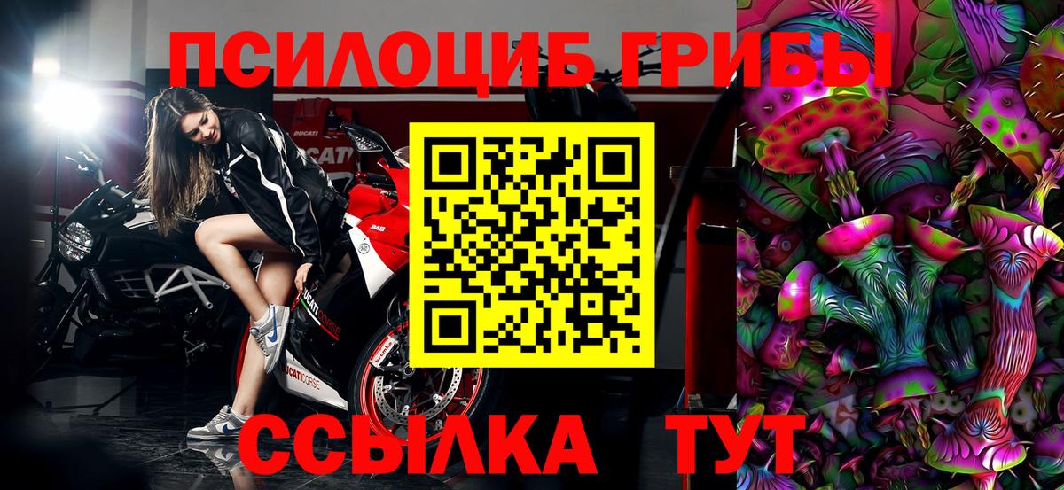 Галлюциногенные грибы Psilocybe Балашиха