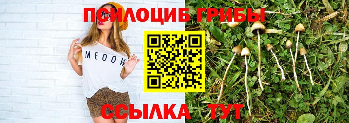 где купить наркоту  Вход с VPN  Балашиха  Псилоцибиновые грибы прущие грибы 